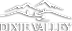 Dixie Valley logo